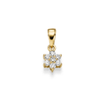Gullhagen  Stjerne anheng, gull med diamanter 0,15ct tw.si.