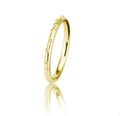 Noën Shine ring, gull